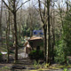 sous-bois